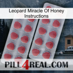 Leopard Miracle Of Honey Instructions 19